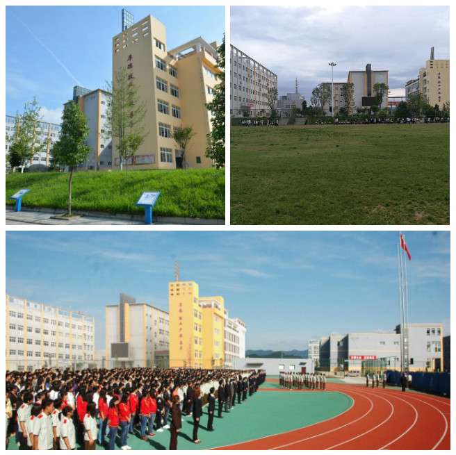 �Ĵ�ʡ�nϪ�h�I�߼��ЌW2022����������