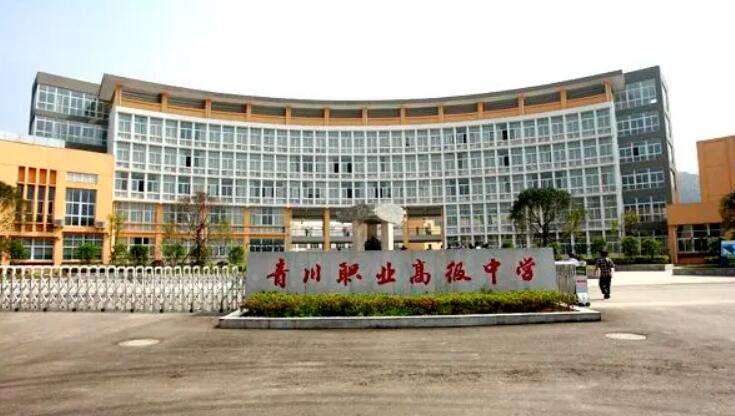 �Ĵ�ʡ�ന�h�I�߼��ЌW2022����������