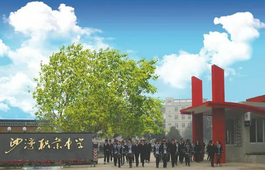 ��ɽɳ���I�߼��ЌW2022����������