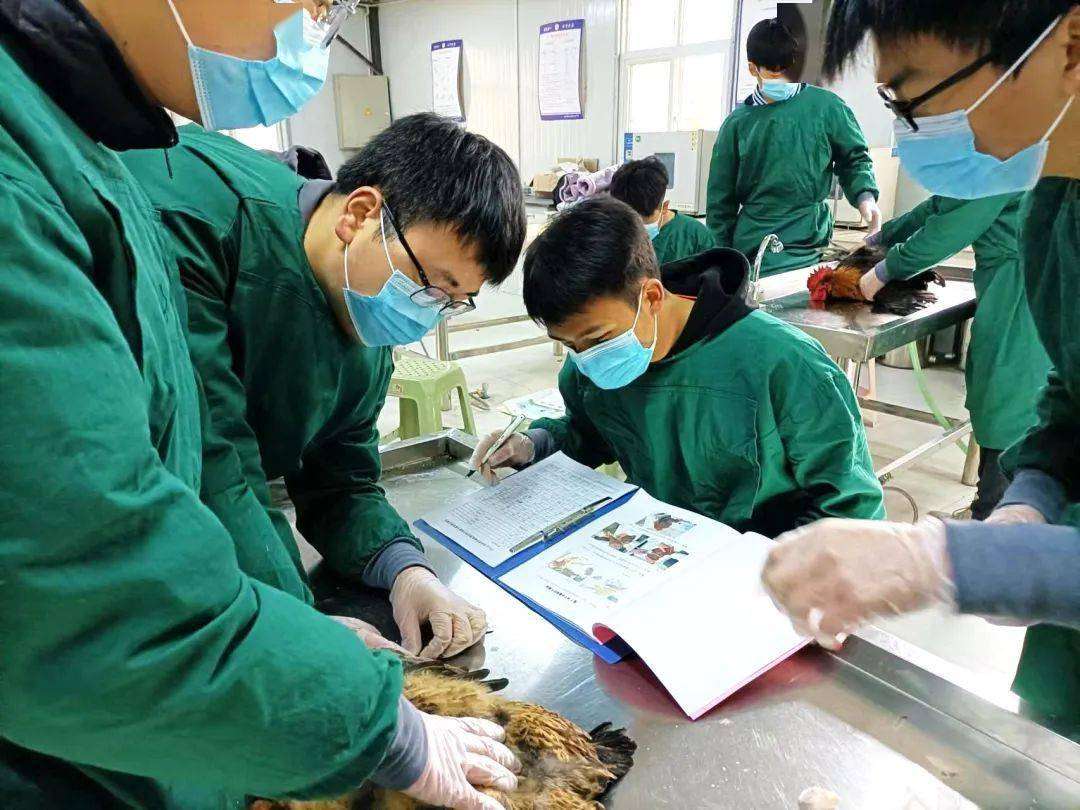 �Ͻ��hС���I(y��)�ЌW2022����������