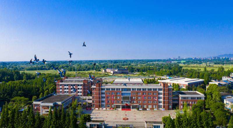 �������м����WУ2022����������