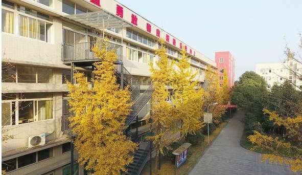 �ɶ����Ļ�ˇ�g(sh��)�W(xu��)У2024����������