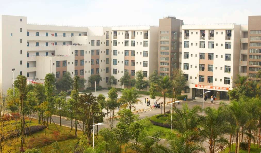 �ɶ����𹤳��I���g�WУ2024���������I��B