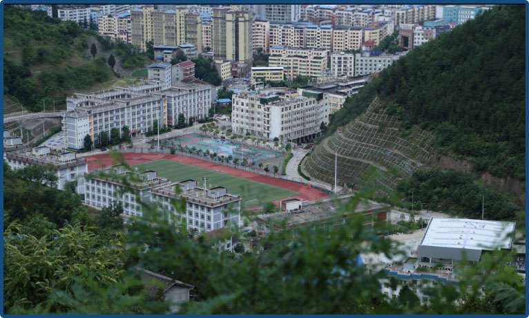 �Ĵ�ʡ�VԪ�г����I(y��)�ЌW(xu��)2024����������