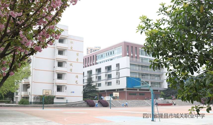 �Ĵ�ʡ¡���г��P(gu��n)�I(y��)�ЌW(xu��)2024��������(ji��n)��