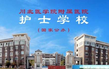 �����t(y��)�W(xu��)Ժ�����t(y��)Ժ�oʿ�W(xu��)У2024����������