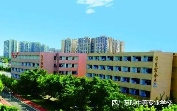 �Ĵ������еȌ��I(y��)�W(xu��)У2024����������