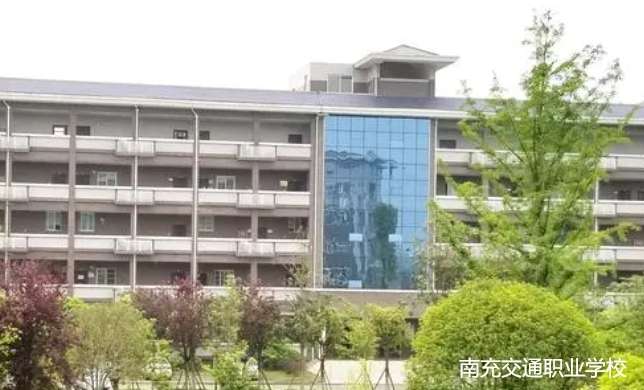 �ϳ佻ͨ�I(y��)�W(xu��)У2024����������