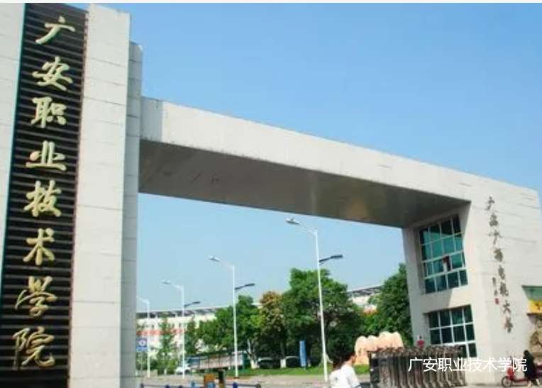 �V���I(y��)���g�WԺ����2024����������