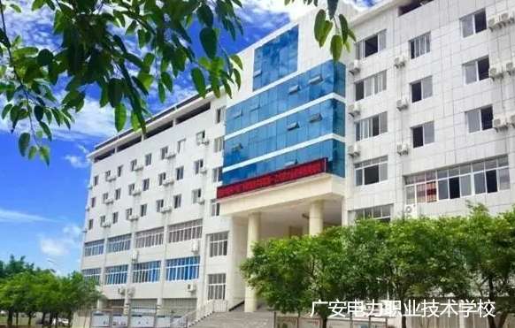 �V������I(y��)���g�WУ2024����������