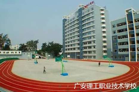 �V�������I(y��)���g�WУ2024����������