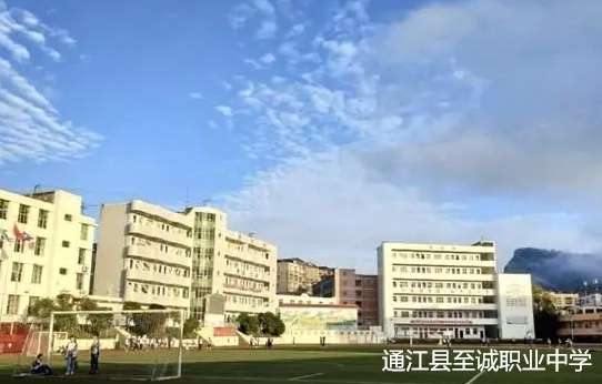 ͨ���h���\�I(y��)�ЌW2024����������