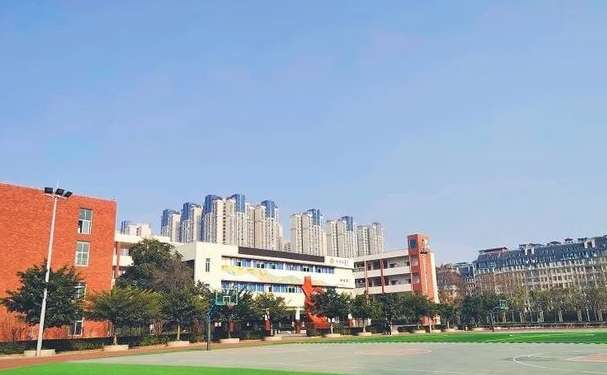 ��׽��^(q��)�����W(xu��)У2024��������(ji��n)��