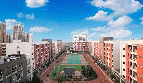 �ɶ����A�߼�(j��)�����W(xu��)У2024��������(ji��n)��