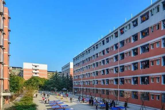 ��֦����ӿƼ��WУ2024����������