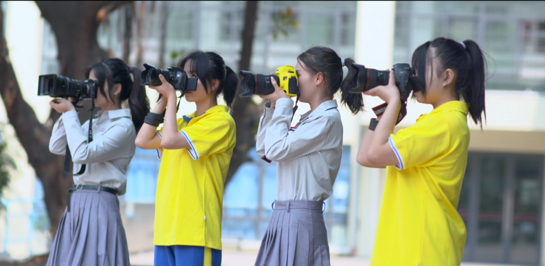 ��֦�������WԺ2024����������