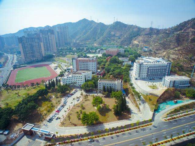 ��֦���и߼������WУ2024����������