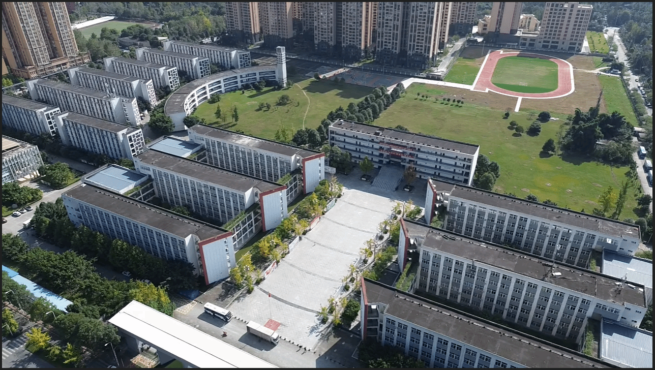 �Ĵ��̄��I�WԺ2024����з֔����߿��{�n��