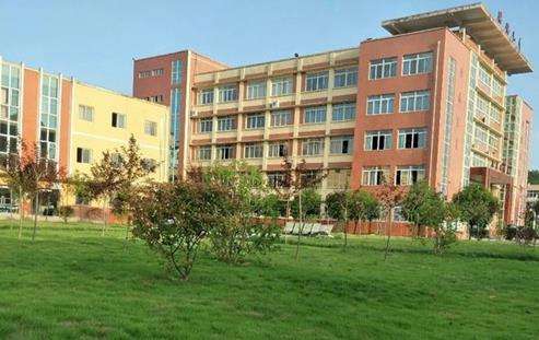 �VԪ���ѻ��^(q��)�I(y��)�߼�(j��)�ЌW(xu��)2026����������