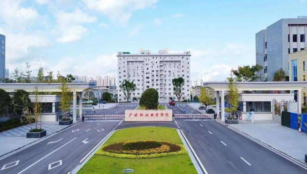 �V���I���g�WԺ��������2026����������