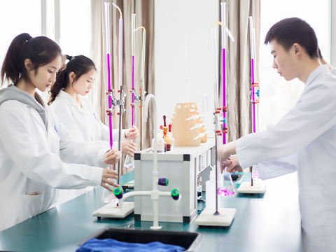 �Ĵ�ʡ�|�����g�O���WУ 2025 ����������