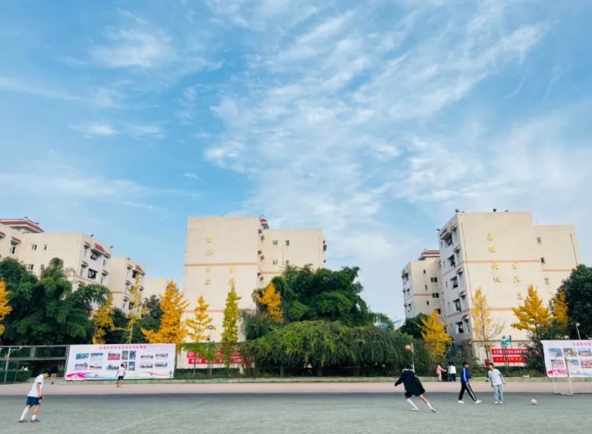 �ɶ����tˎ��W�����tԺᘾČWУ2026����ˎ���I��������