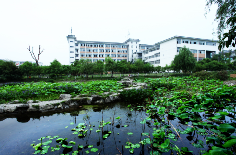 �ɶ����p���^(q��)�벩�е��I(y��)���g(sh��)�W(xu��)У2026����������