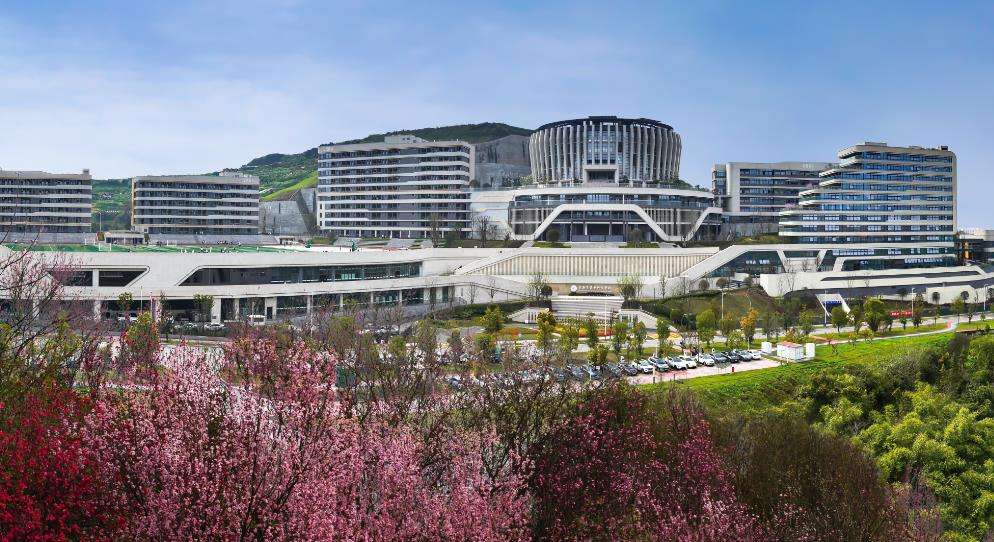 �ؑc���tˎ�Ƽ��WУ2026����������