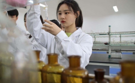 ˎ�W���I(y��)�������ƴ󌣣�