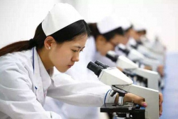 �t(y��)�W(xu��)�z򞼼�g(sh��)3+3���W(xu��)��