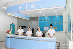 �t(y��)�W(xu��)�o�팣�I(y��)