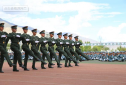 �w�����I��������������