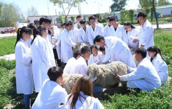 �������a(ch��n)���g(sh��)��ԭ�����F�t(y��)��