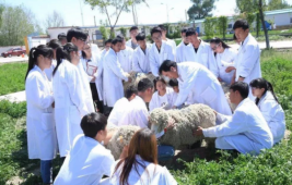 �������a���g��ԭ�����F�t��