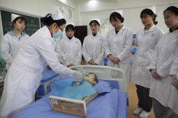 �o�팣�I���W�����꣩