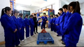 �s�h�����������c���팣�I