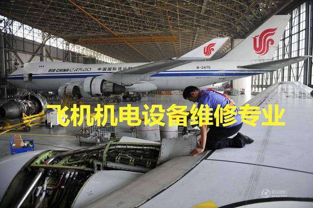 �w�C(j��)�O(sh��)��S�ތ��I(y��)