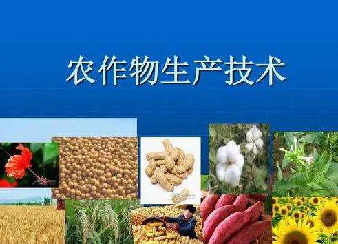 �������a���g���I