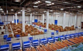 ���������c���팣�I