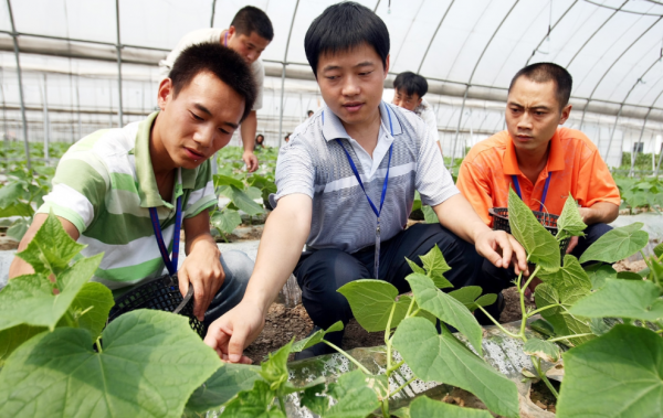 �r(n��ng)�Y�I�N�c���Ռ��I(y��)