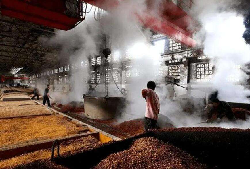 ᄾƹ�ˇ�c���g���I