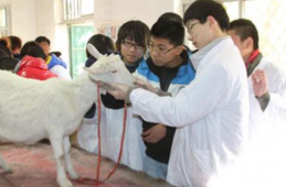 �������a���g���I