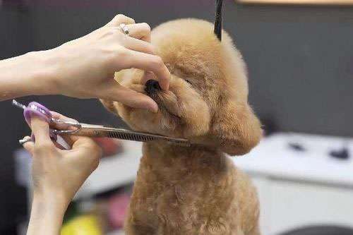 �����B(y��ng)�o�c���I���I(y��)