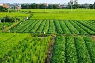 �������a���g���I