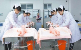 ĸ�����o���I