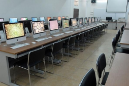 Ӱҕ�������I