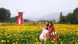 ���B(y��ng)���e���η���(w��)���I(y��)