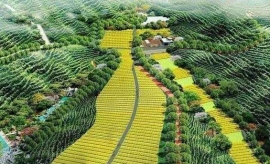 ���e�r(n��ng)�I(y��)���a(ch��n)�c��(j��ng)�I(y��ng)