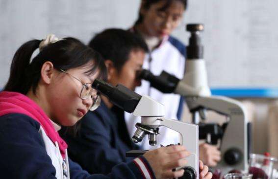 �������a���g