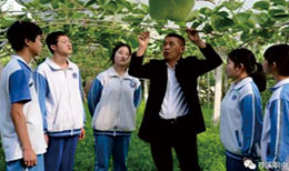 �������a���g